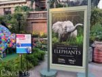 Earth Day 2023 elephant sculpture at Disneyland – nat Geo Sign Photo by David Yeh