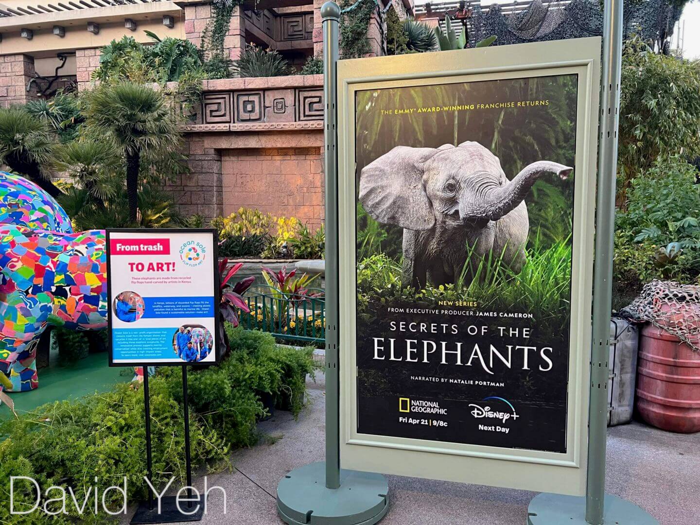 Disneyland, Earth Month, Elephant statues, Nat Geo, Secrets of the Elephants