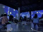 Immersive Van Gogh Exhibit – Starry Night – Photo by Samantha Davis-Friedman