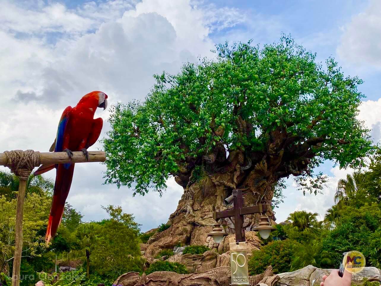 Disney's Animal Kingdom, 25 Animals for the 25th Anniversary of Disney’s Animal Kingdom!
