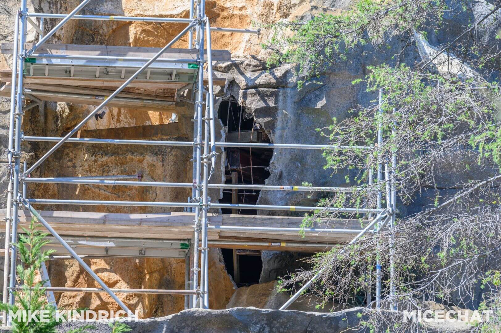 , Disneyland Update – From Doom to Bloom