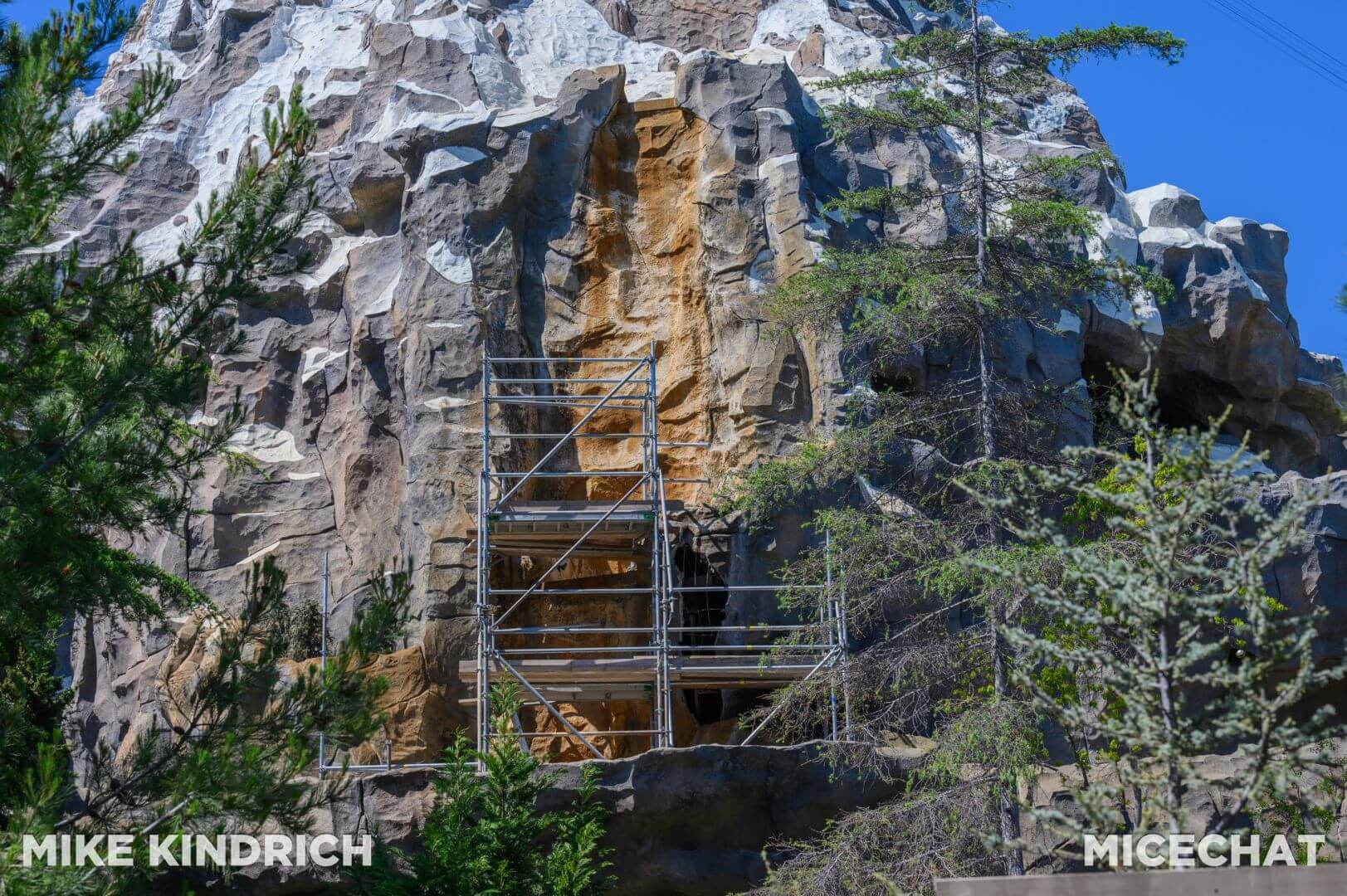, Disneyland Update – From Doom to Bloom