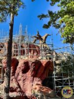 Splash Mountain Tiana’s Bayou Adventure