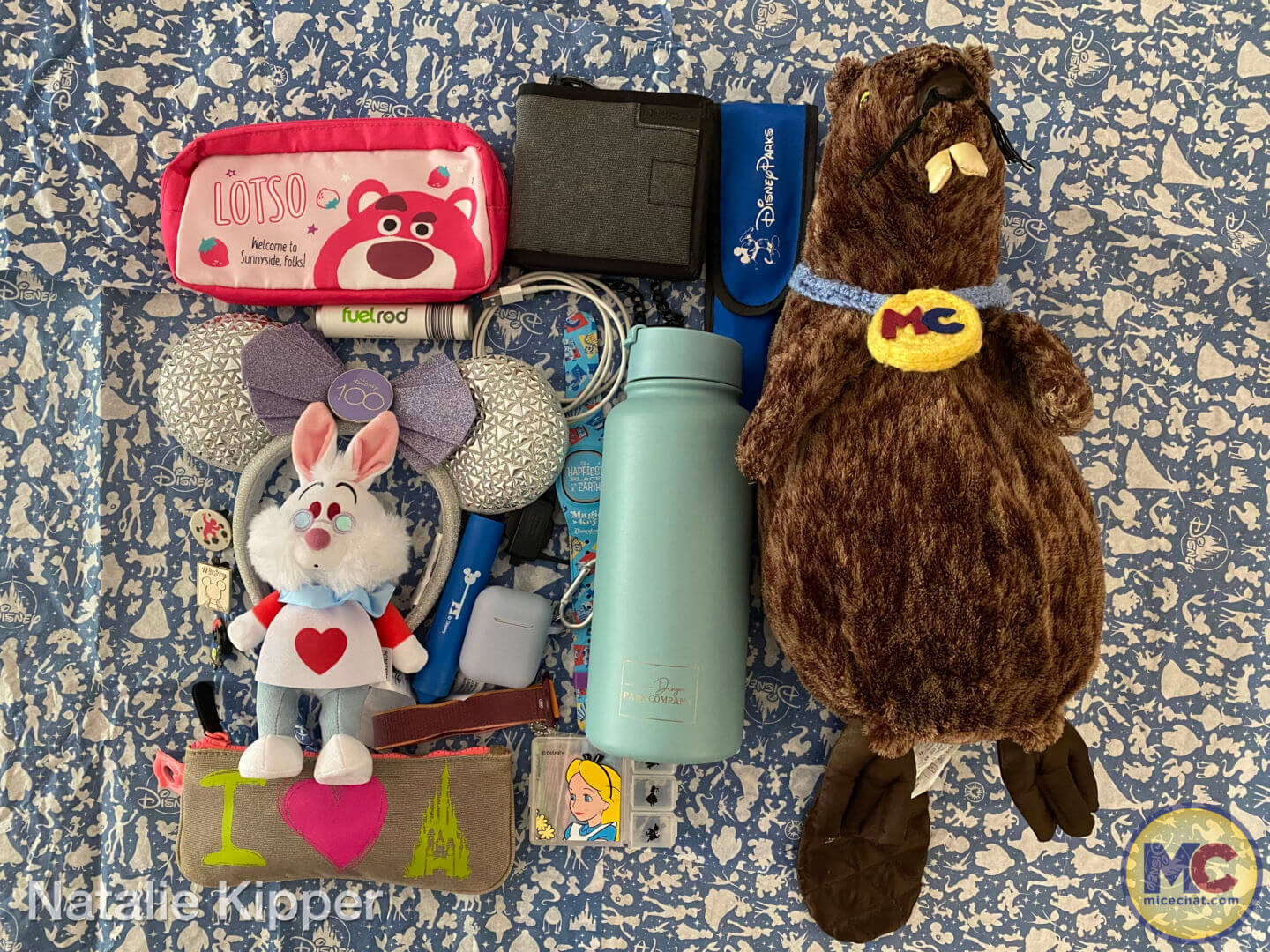 This is everything that I fit inside and outside my Rope Drop Backpack.