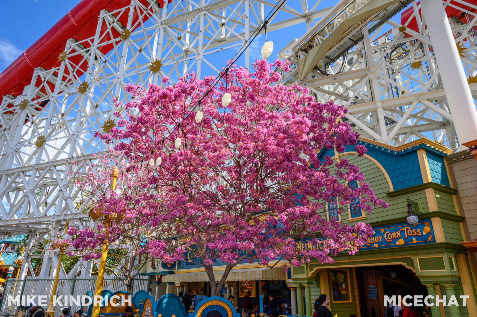 , Disneyland Update – The Crowd Awakens