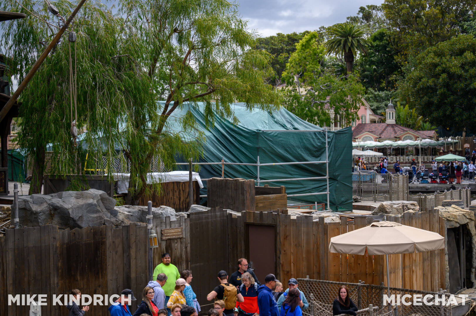 , Disneyland Update – The Crowd Awakens