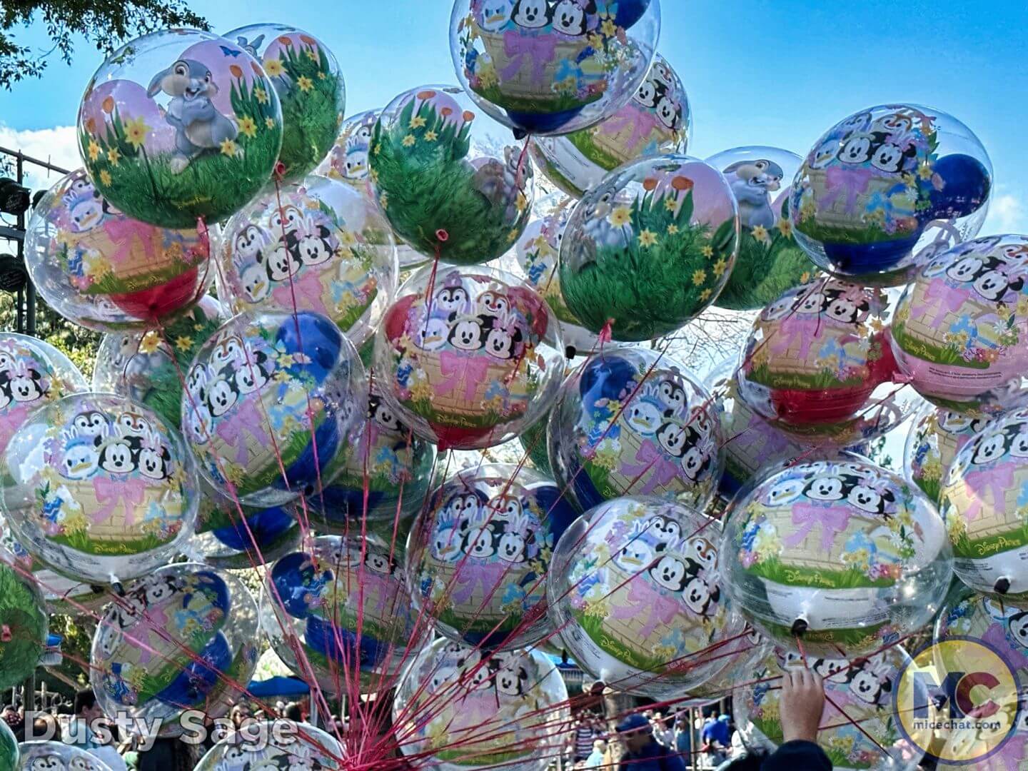 , Disneyland Update – The Crowd Awakens