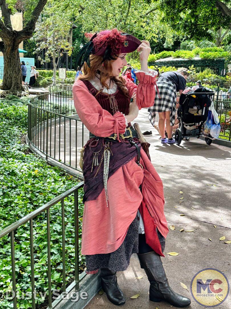 , Disneyland Update – The Crowd Awakens