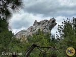Disneyland News beauty grizzly bear mountain MiceChat