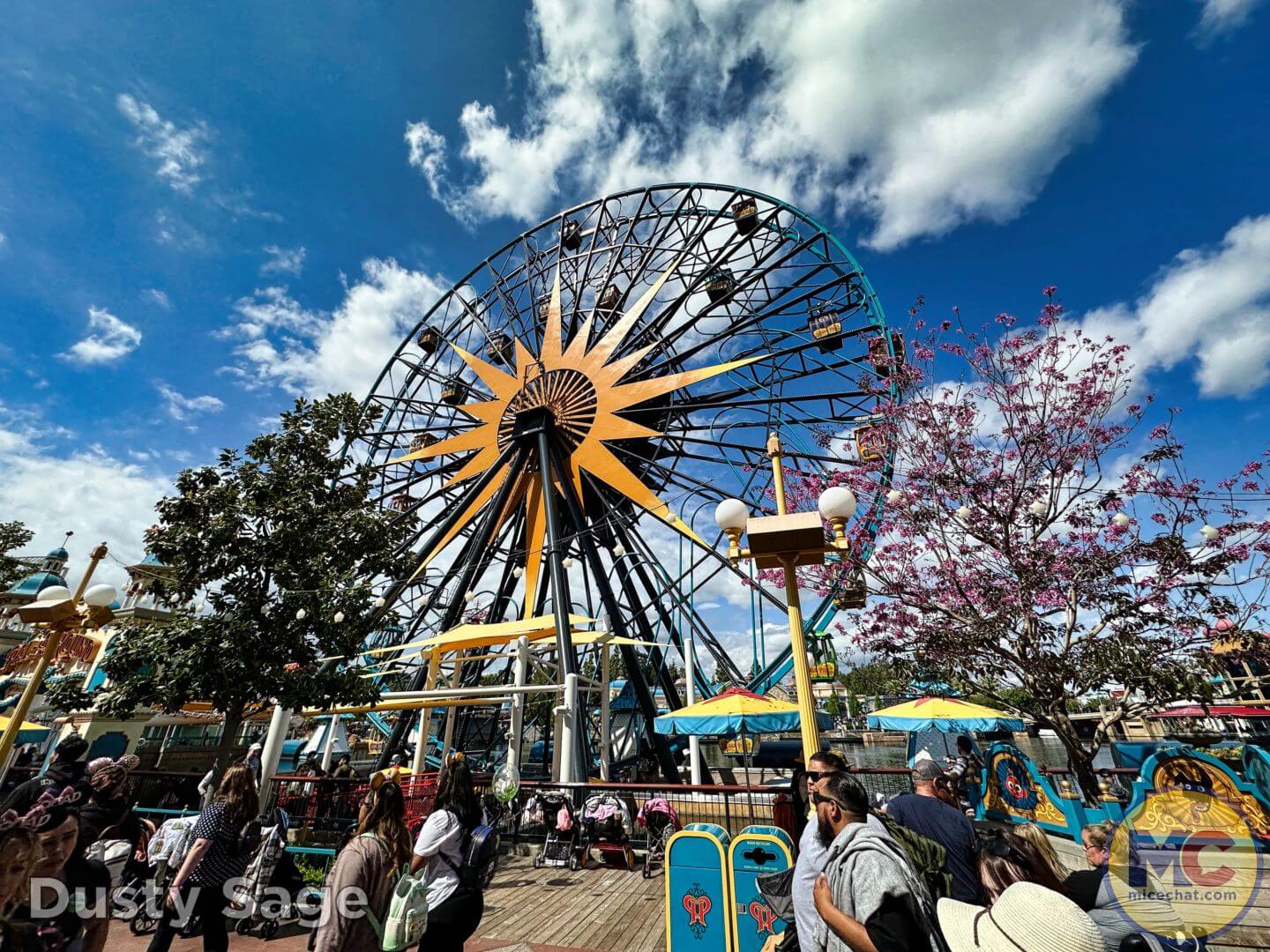, Disneyland Update – The Crowd Awakens