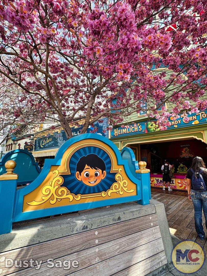 , Disneyland Update – The Crowd Awakens