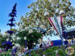 Disneyland News beauty roses casey jr 2 MiceChat