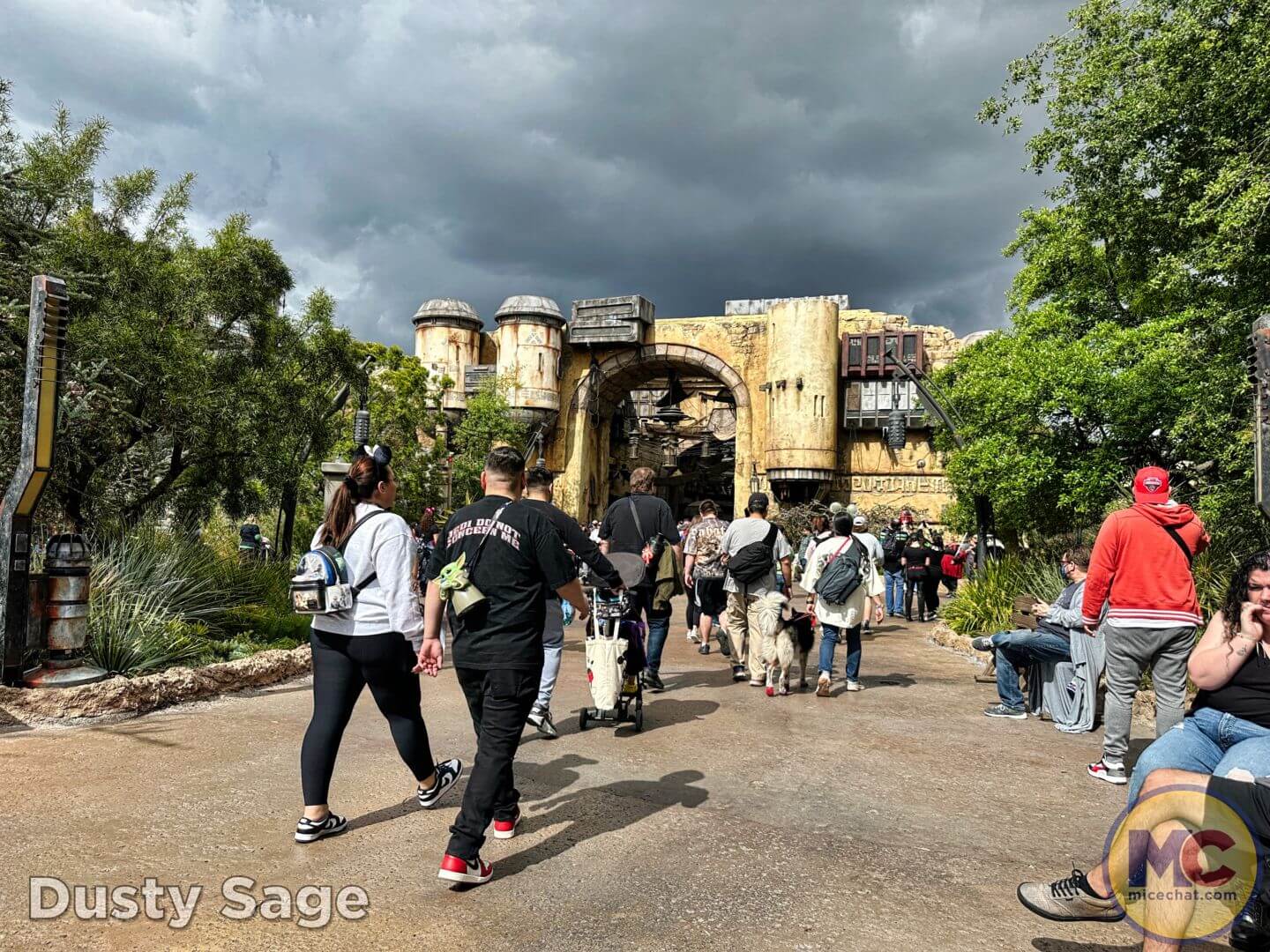 , Disneyland Update – The Crowd Awakens