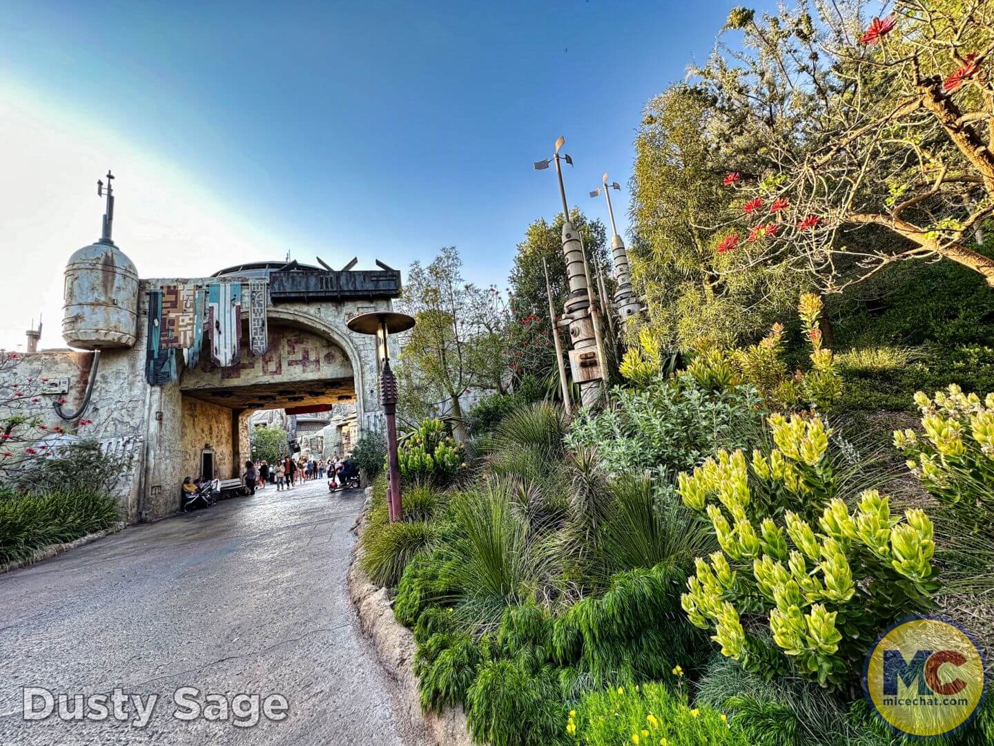 , Disneyland Update: Exciting Changes, Frustrating Delays &#038; the Final Splash