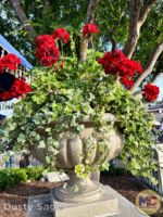 Disneyland News beauty urn MiceChat