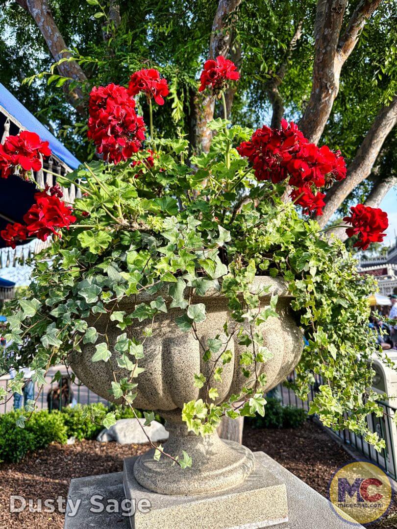 , Disneyland Update: Exciting Changes, Frustrating Delays & the Final Splash