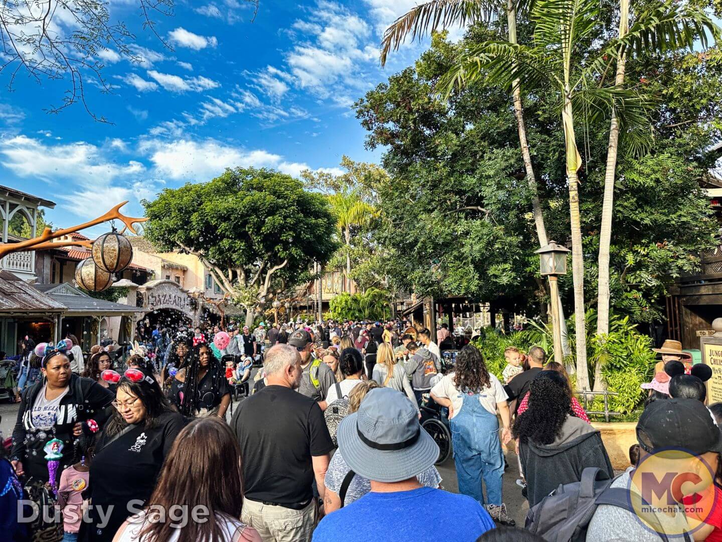 , Disneyland Update: Exciting Changes, Frustrating Delays & the Final Splash