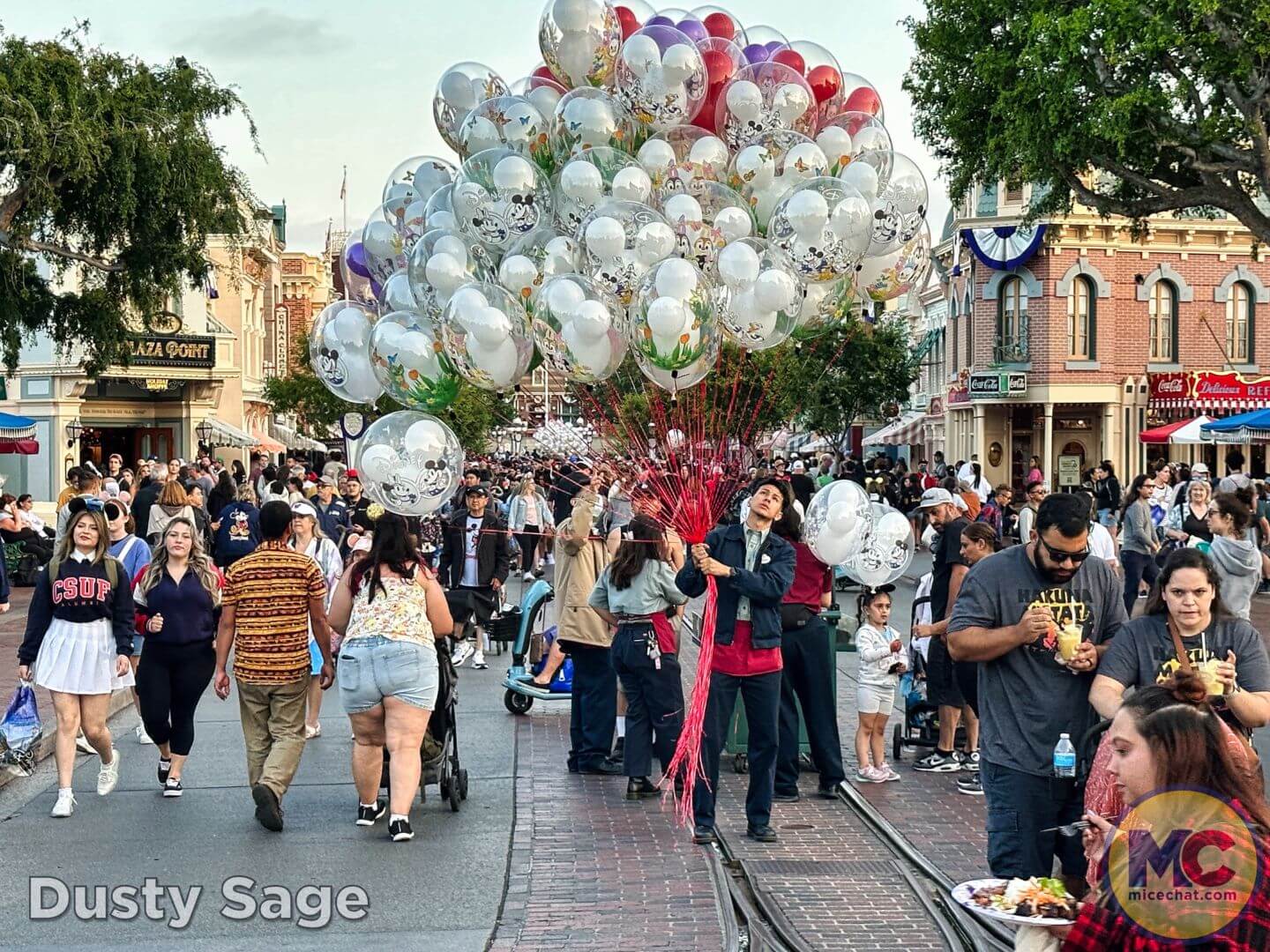 , Disneyland Update: Exciting Changes, Frustrating Delays & the Final Splash