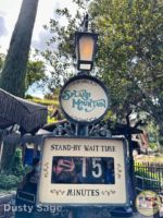 Disneyland News crowds splash mountain 15 minutes MiceChat