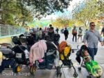 Disneyland News crowds toontown strollers MiceChat