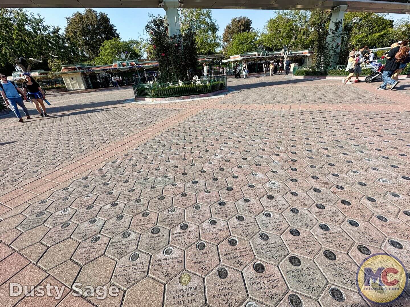 , Disneyland Update: Exciting Changes, Frustrating Delays & the Final Splash