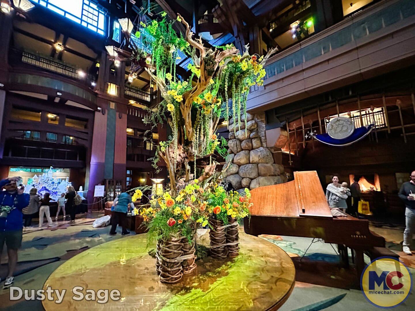 , Disneyland Update – The Crowd Awakens