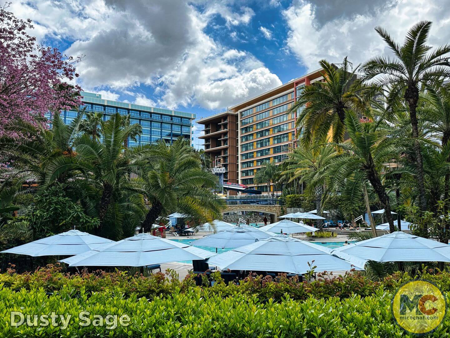 , Disneyland Update – The Crowd Awakens