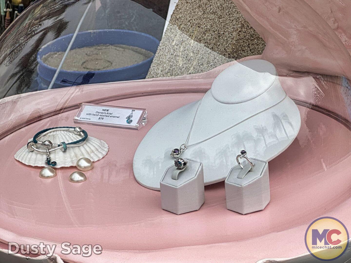 , Disneyland Update: Exciting Changes, Frustrating Delays & the Final Splash