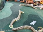 Disneyland News toontown park 4 MiceChat