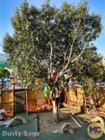 Disneyland News toontown park 9 MiceChat