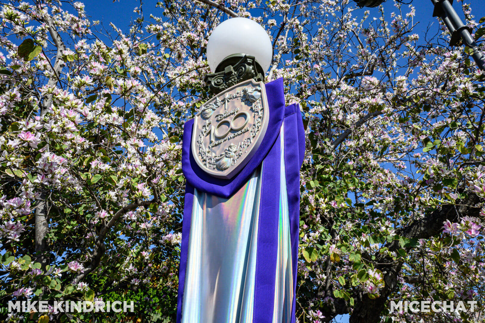 , Disneyland Update – The Crowd Awakens