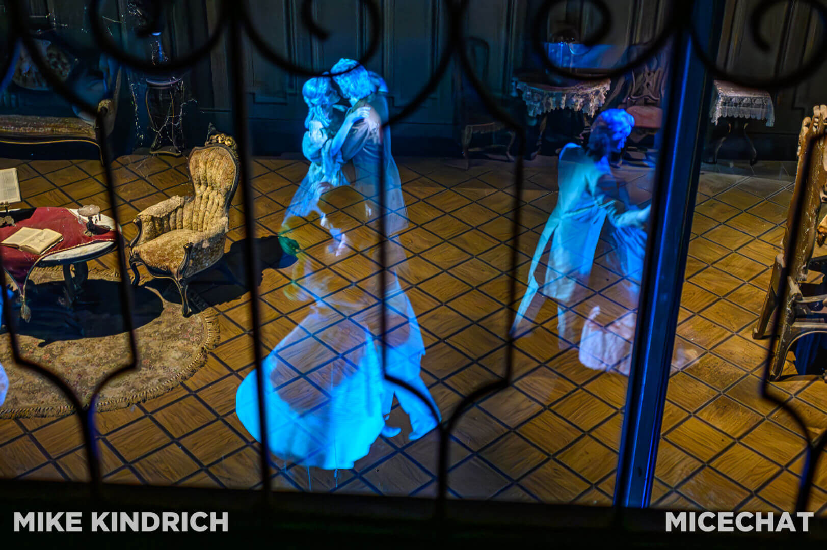 Haunted Mansion, MiceShots: Disneyland&#8217;s Haunted Mansion Materialized