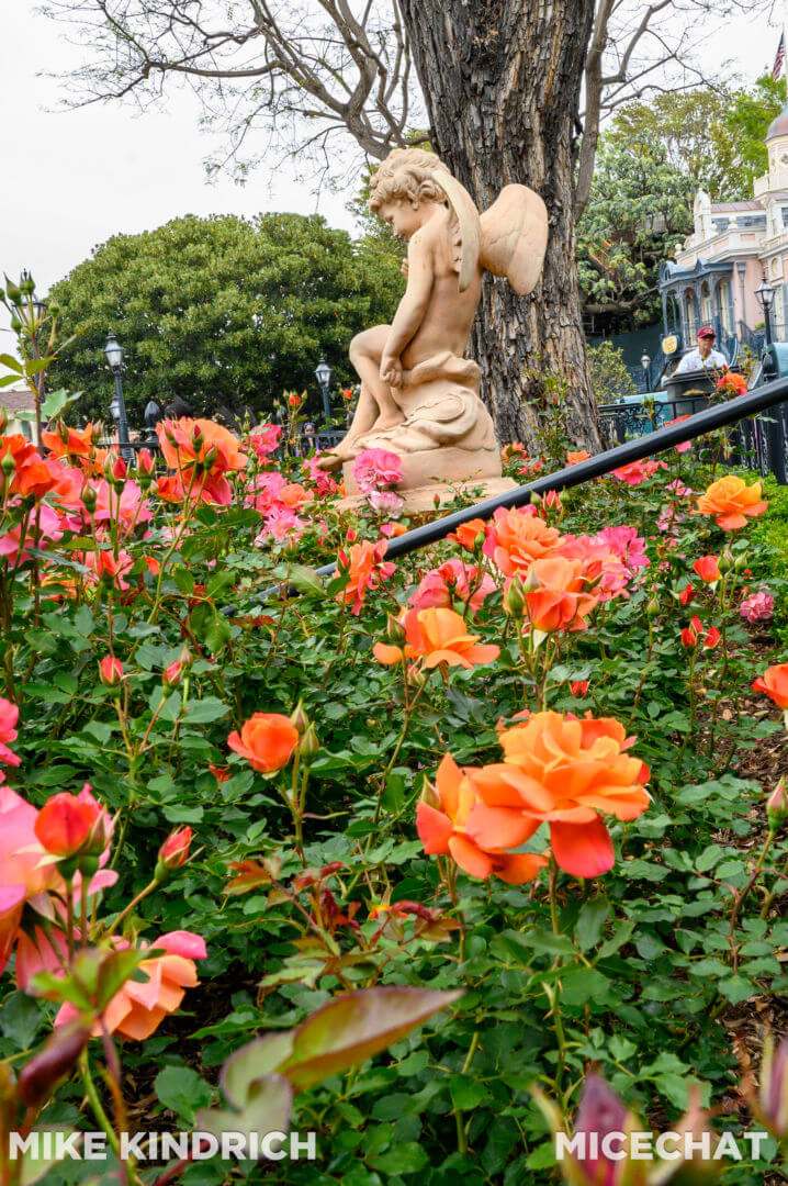, Disneyland Update: Exciting Changes, Frustrating Delays & the Final Splash