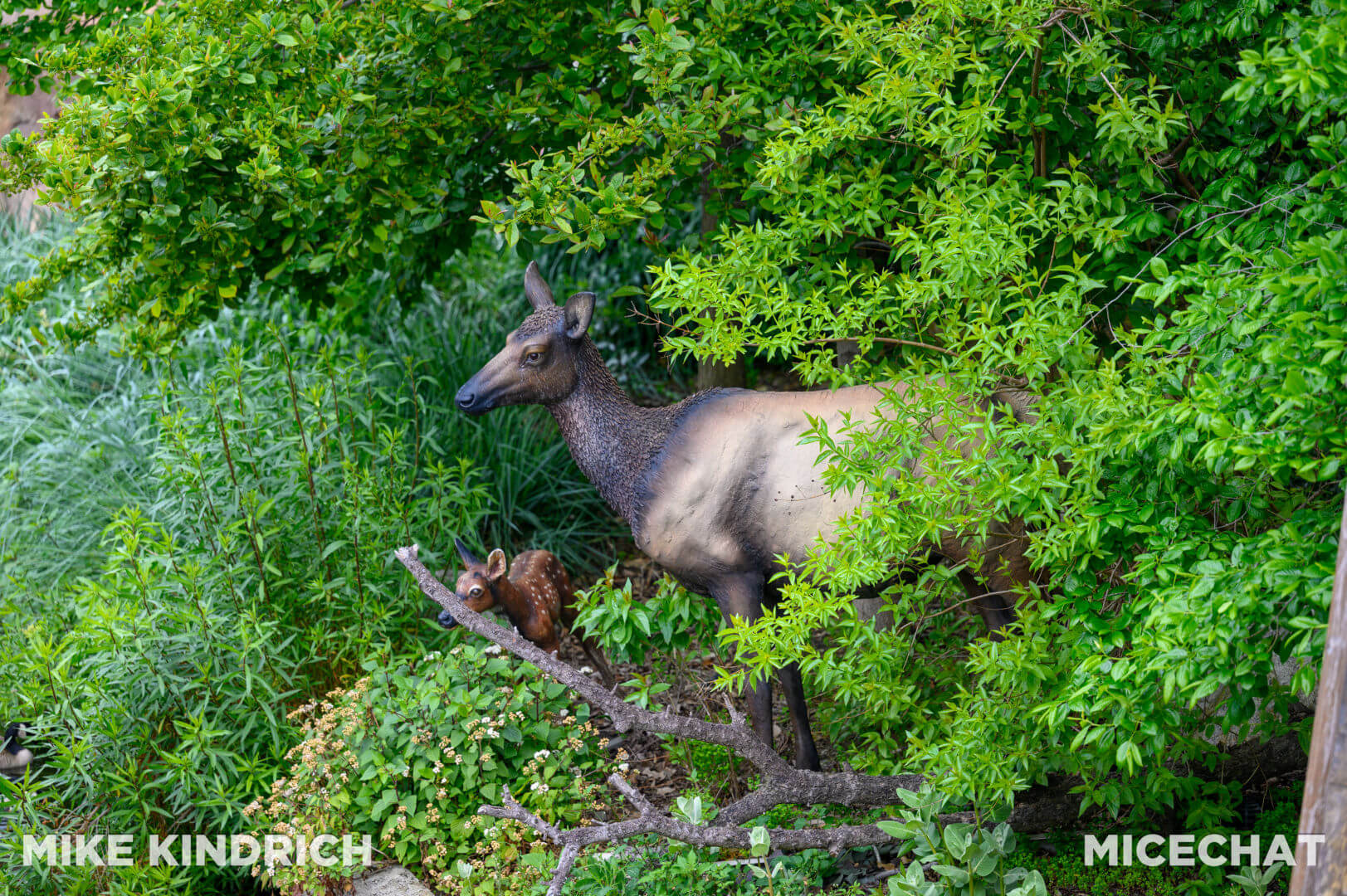 Rivers of America, MiceShots: Rivers of America on the Mark Twain