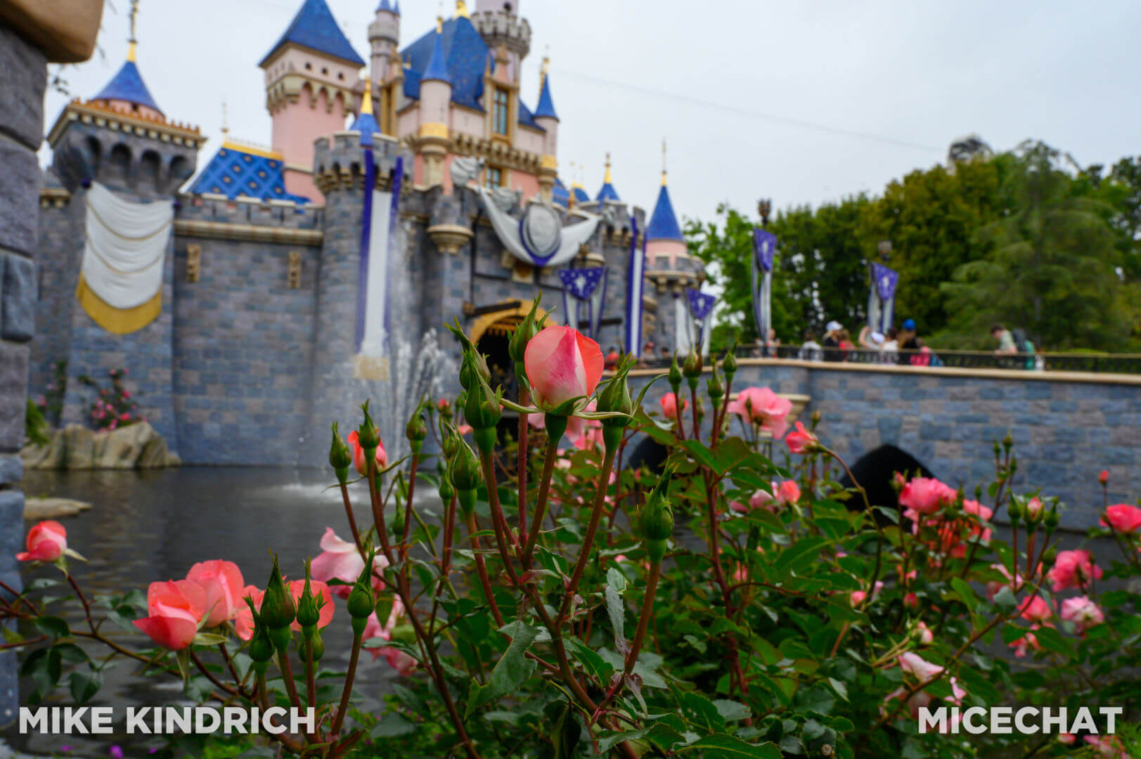 , Disneyland Update: Exciting Changes, Frustrating Delays & the Final Splash