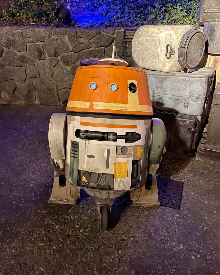 , It’s Star Wars Day at Disneyland: May The 4th Be With You!