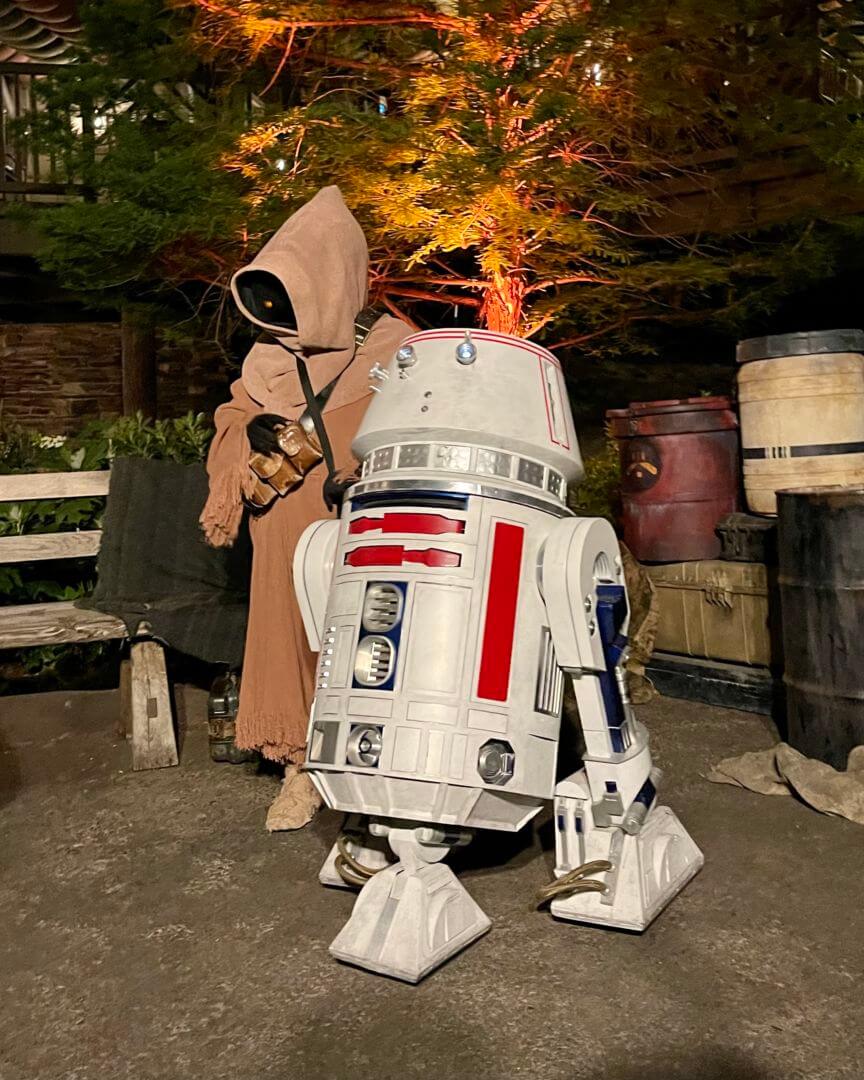 , It’s Star Wars Day at Disneyland: May The 4th Be With You!