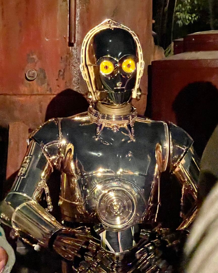 , It’s Star Wars Day at Disneyland: May The 4th Be With You!