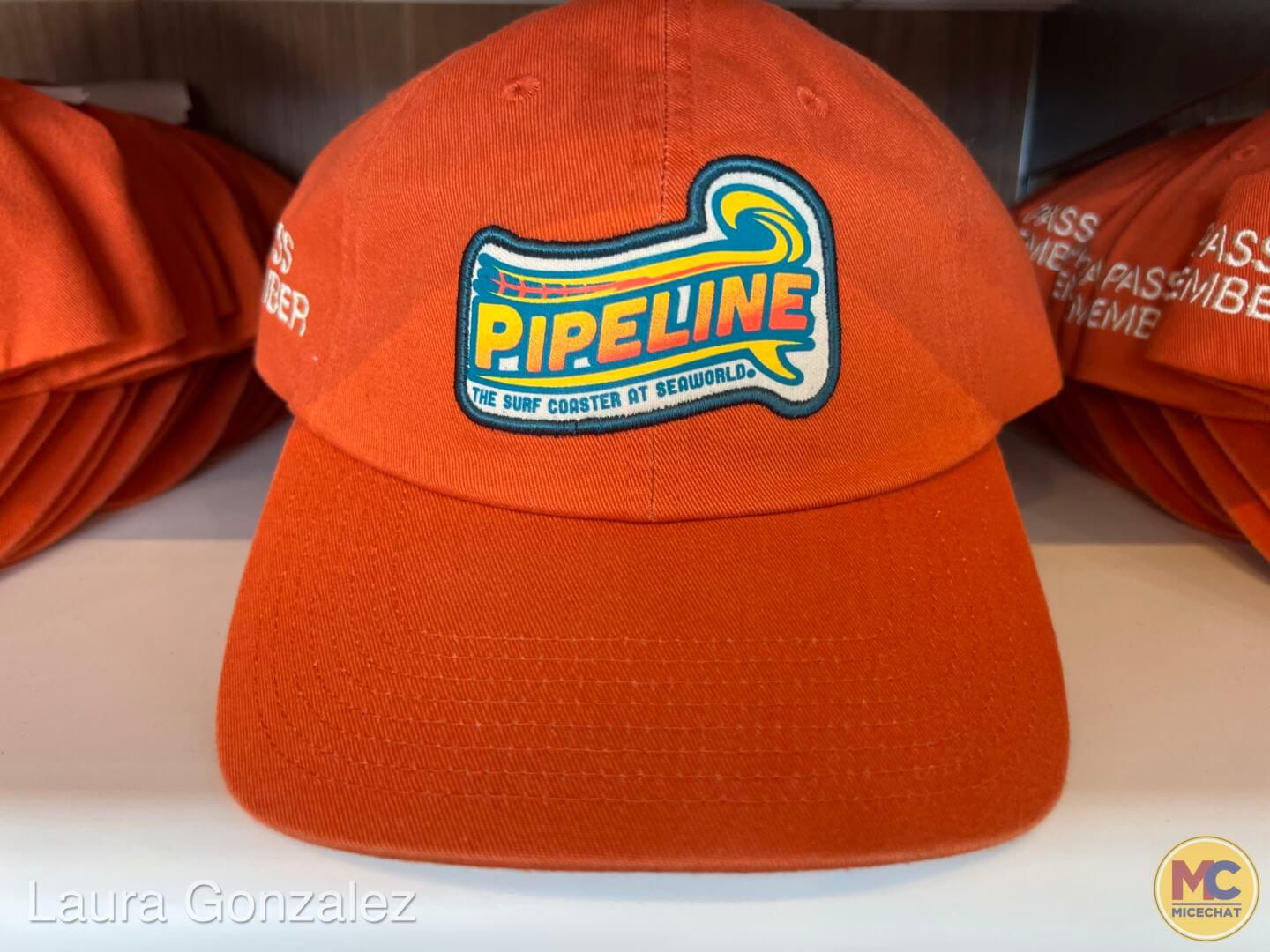 Pipeline Coaster, Hang Ten on SeaWorld Orlando’s NEW Pipeline Surf Coaster