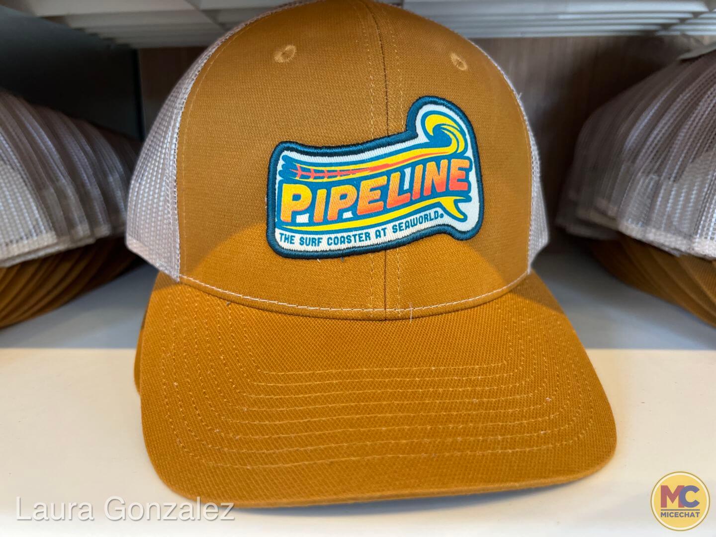 Pipeline Coaster, Hang Ten on SeaWorld Orlando’s NEW Pipeline Surf Coaster