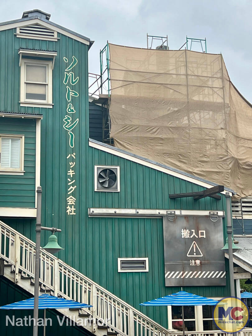 , Disneyland Update: The Final Splashdown, Pixar Preview & More Mermaid!