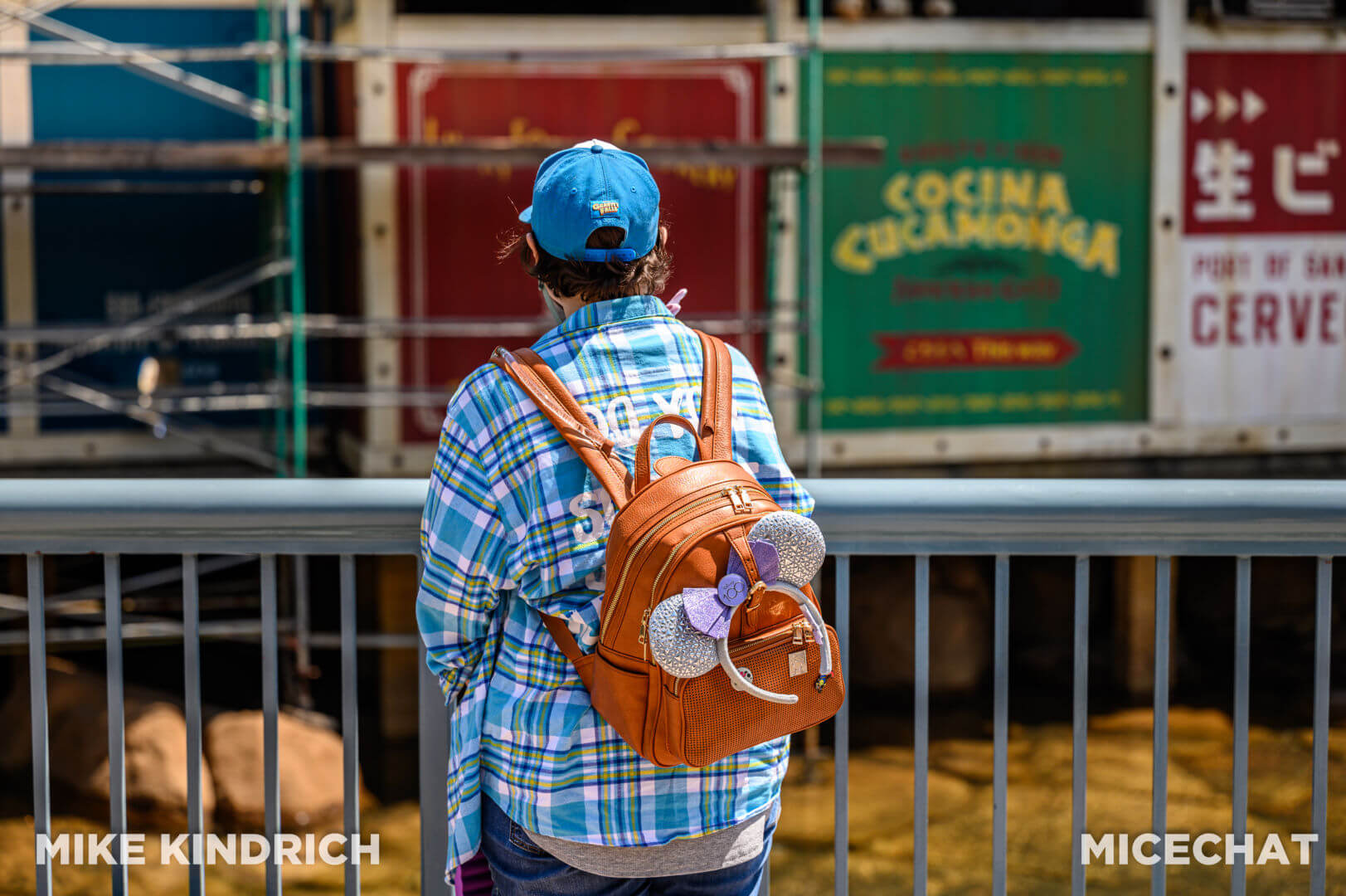 Rope Drop Backpack, Meet the Rope Drop Backpack, Your Next Disney Parks Day Bag