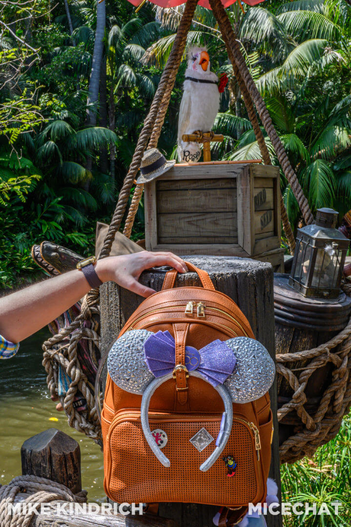 Rope Drop Backpack, Meet the Rope Drop Backpack, Your Next Disney Parks Day Bag