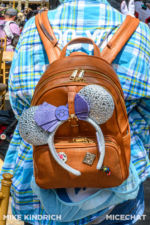 disneyland-designer park company-rope drop backpack-net in use-micechat