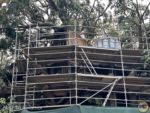 isneyland update news adventureland treehouse scaffolding MiceChat