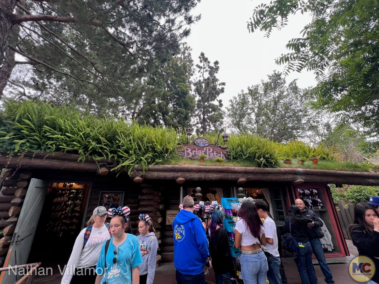 , Disneyland Update: The Final Splashdown, Pixar Preview &#038; More Mermaid!