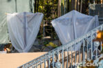 041_Disneyland_Adventureland Treehouse construction