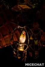 093_Disneyland_Walt DIsney’s Enchanted Tiki Room