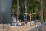 Disneyland Adventureland Treehouse construction progress DSC_7791-X5