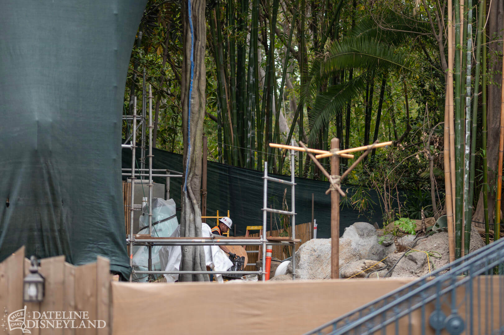 , Disneyland Update: Toot-Toot, Groot, Splish & Splash!